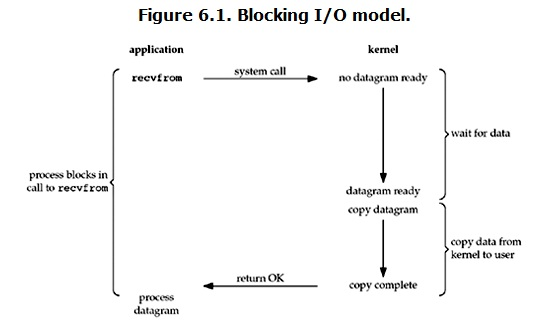 阻塞 IO 的两个阶段都被阻塞 ./pic1.png